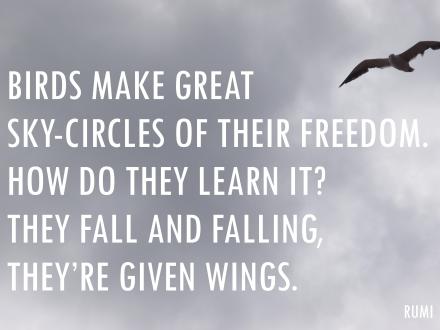Birds make great sky-circles - Rumi